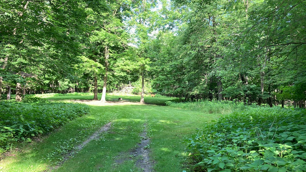 Area B primitive area