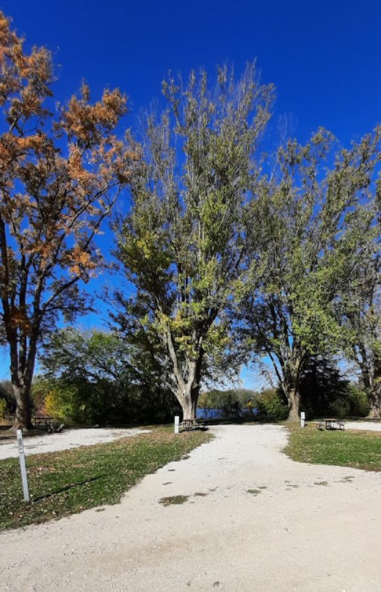 Electric Site 007 - Don Williams