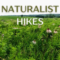 Fall Naturalist Hikes - Ciha Fen Preserve