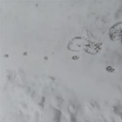 Winter Solstice Hike and Movie Afternoon