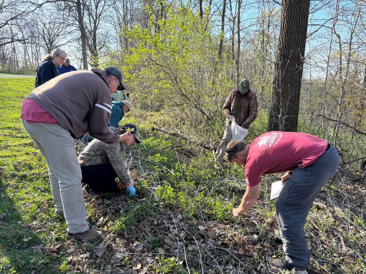 Wild Foraging Class at Lake Meyer Park