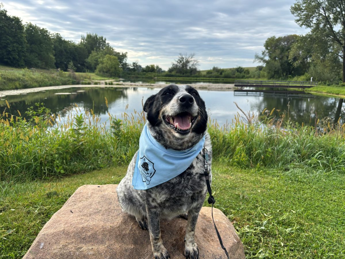 BARK Ranger at Silver Springs