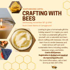 Earthbound Arts: Crafting with Bees