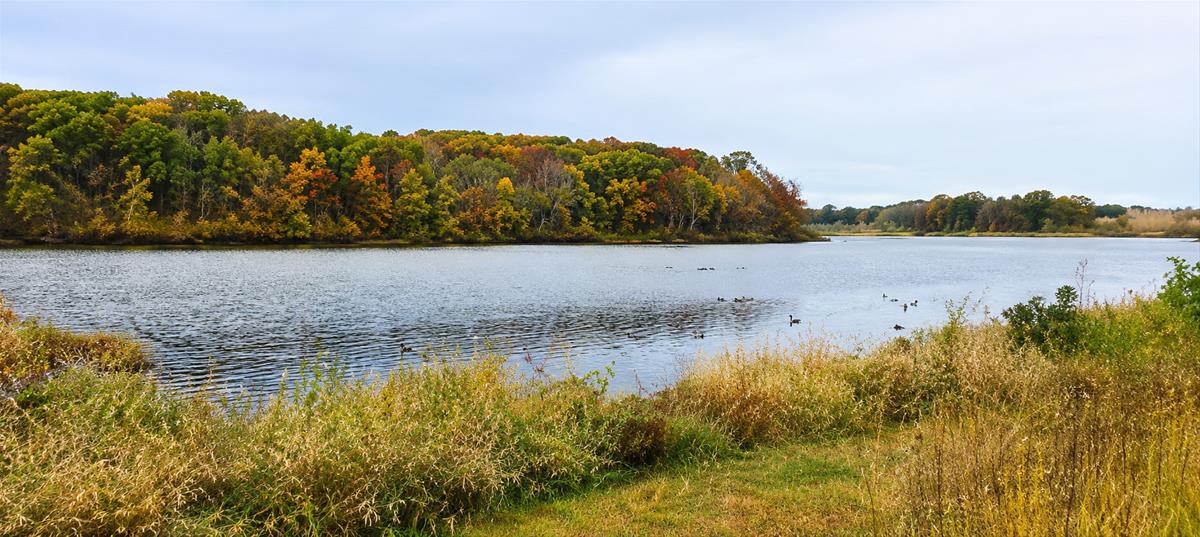 Sands Timber Recreation
