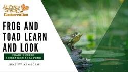 Frog and Toad Learn and Look