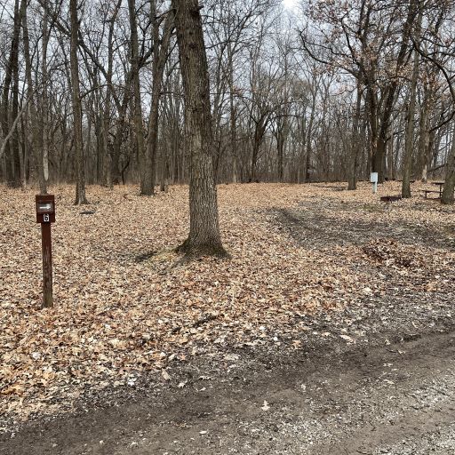 Virginia Grove Campsite 06