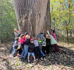 Nature Neighbors - Above the Forest Floor (Youth completing 1st or 2nd grade)
