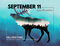 Elk Auction