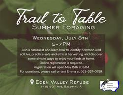 Trail to Table: Summer Foraging