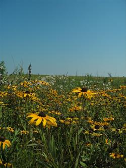 Brown Bag Bunch - Prairie Prowl