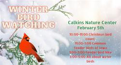Winter Bird Watching