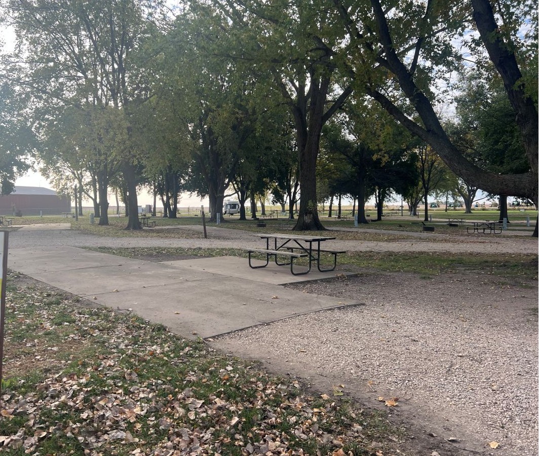 Mill Creek Campsite #11