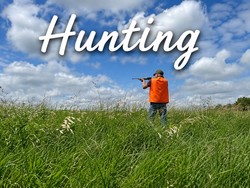 Hunting