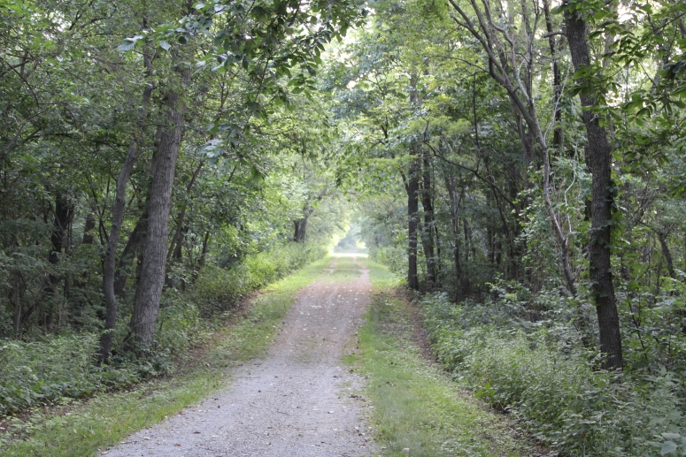 Trail
