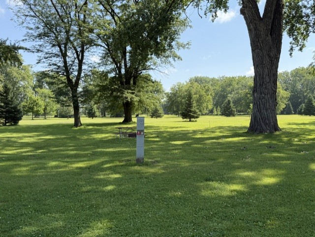 Beaver Meadows Site 12 - Reservable