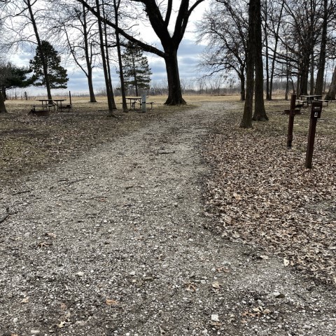 Virginia Grove Campsite 04