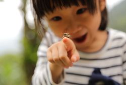 Science for Squirts:Bug Safari