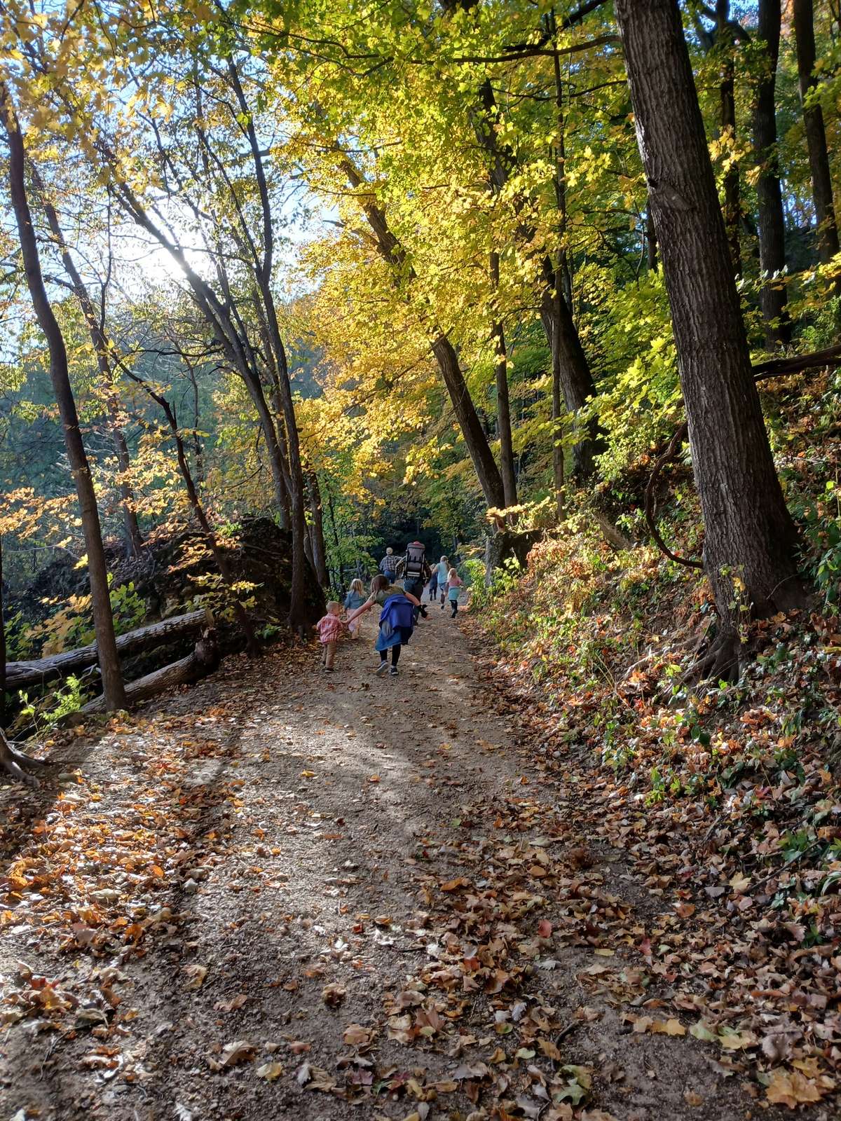 Trail to Back Valley