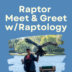 Raptor Meet & Greet