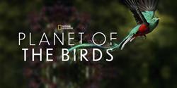 Planet of the Birds Documentary