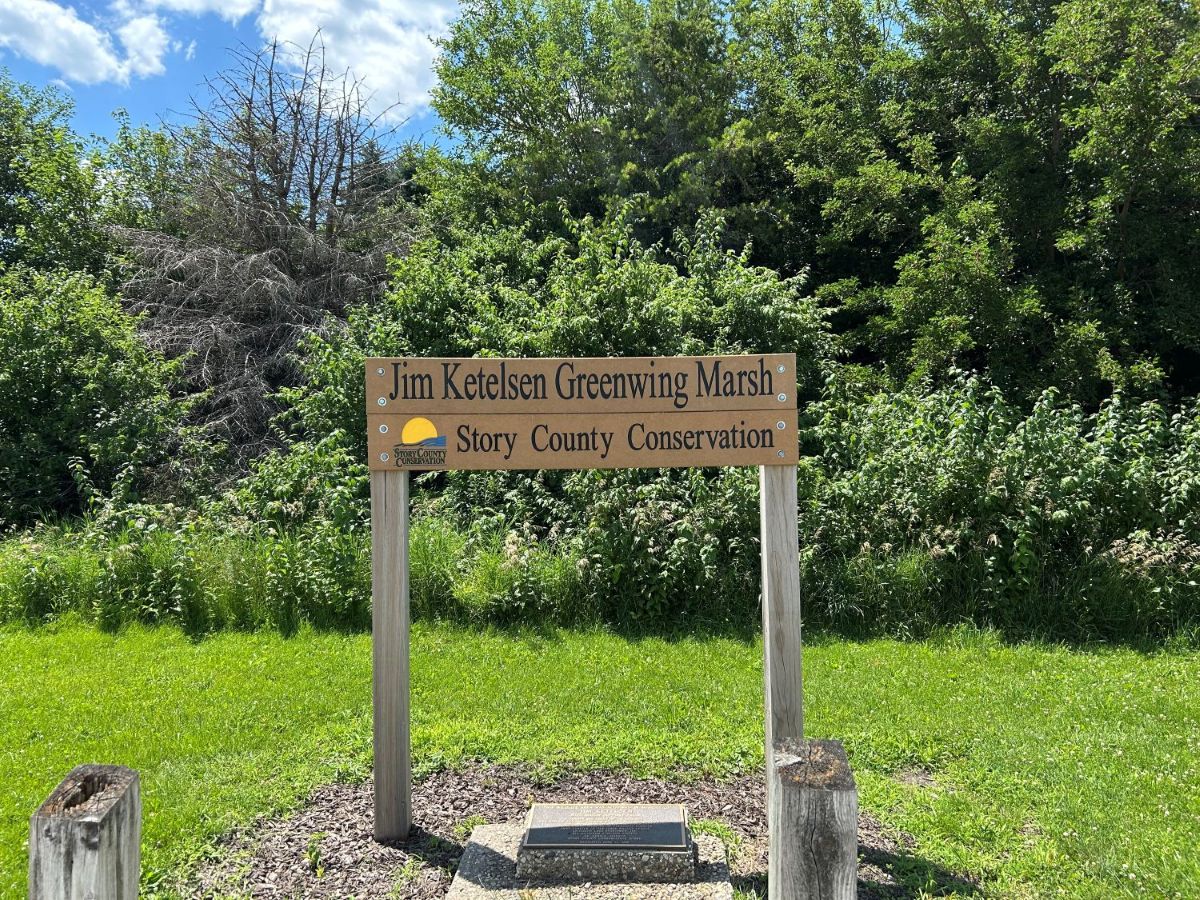 Jim Ketelsen Greenwing Marsh