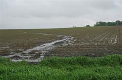 Sustainable Iowa: soil science & conservation landscapes - Ages 8-12