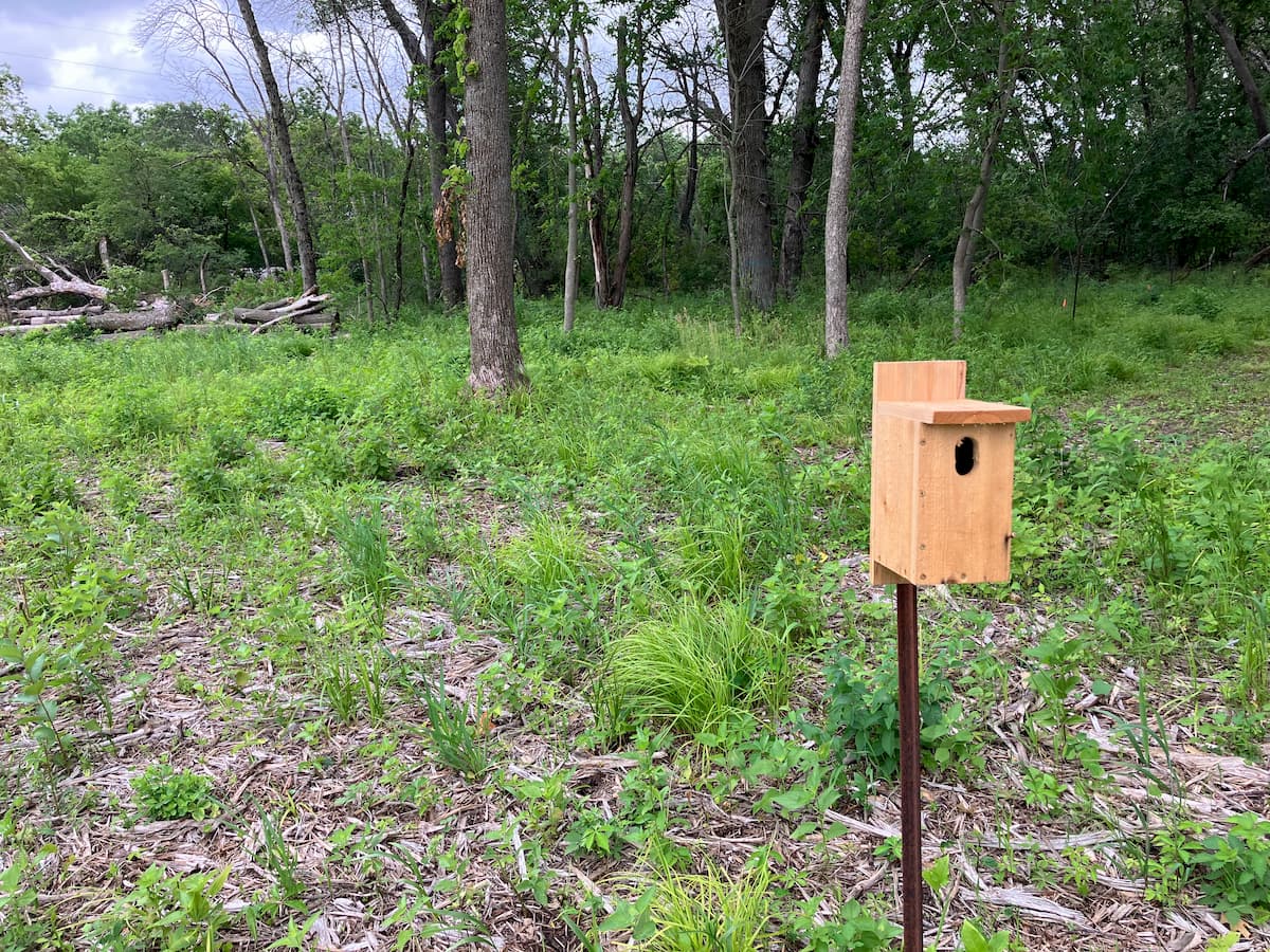 Bluebird box along trail