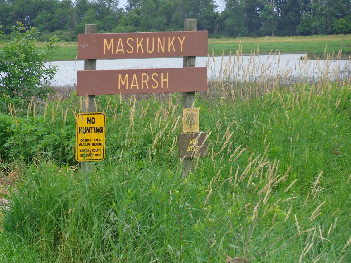 Maskunky Marsh