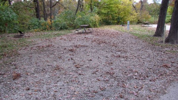 Pollmiller Campsite #13 Reservable