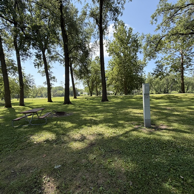 Beaver Meadows Site 11 - Non-Reservable