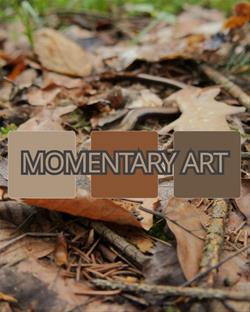Momentary Art