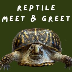 Reptile Meet and Greet