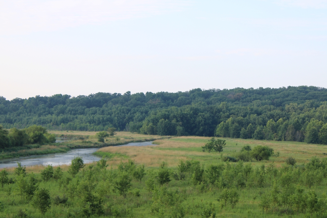 Overview of wetlands