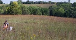 Codfish Hollow (Hamilton) Hill Prairie Walk