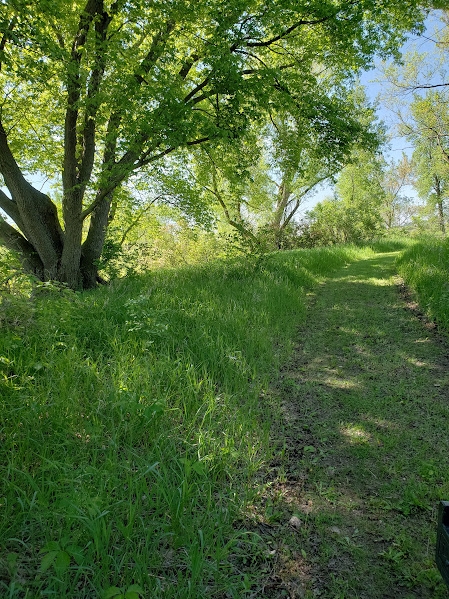 Ashton Pits Wildlife Management Area