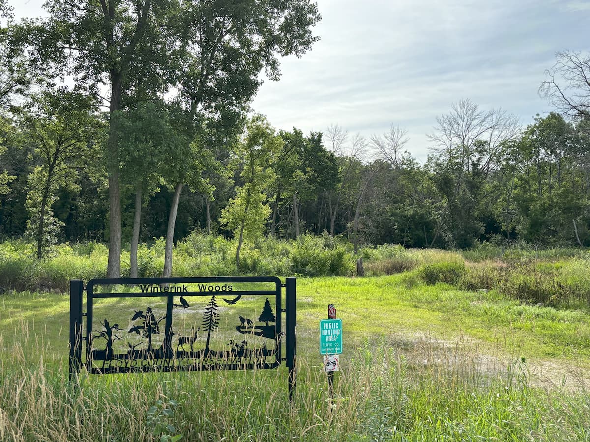 Winterink Woods