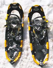 Moonlit Snowshoe