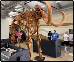 Brown Bag Bunch - Ice Age Iowa