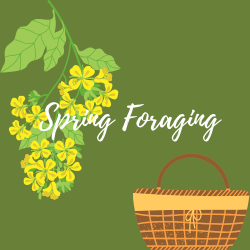 Spring Foraging