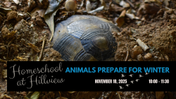 Homeschool at Hillview - Animals Prepare for Winter