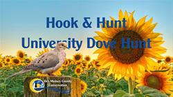 HHU - Dove Hunt
