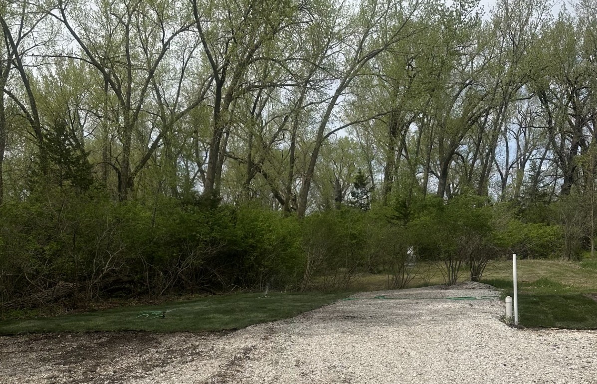 Siems North Campsite 16 - Host Only