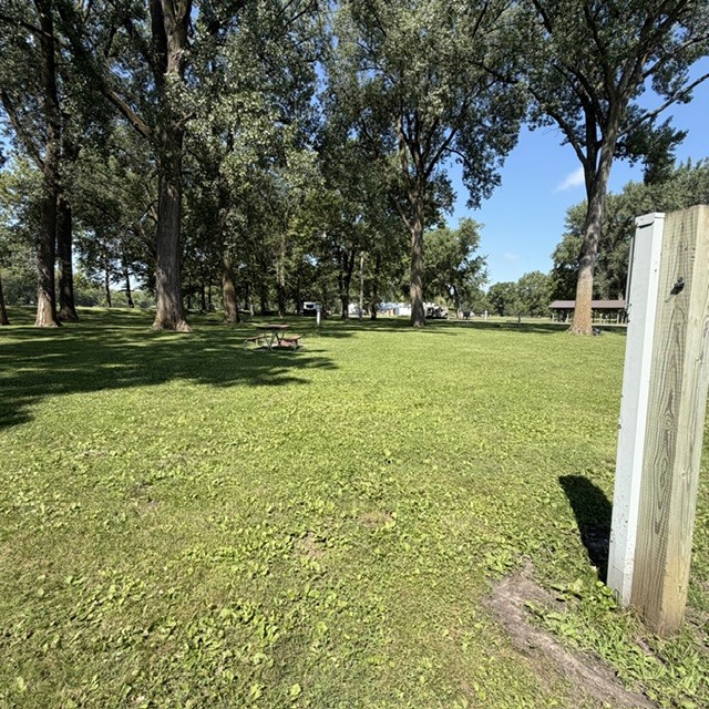 Beaver Meadows Site 08 - Non-Reservable