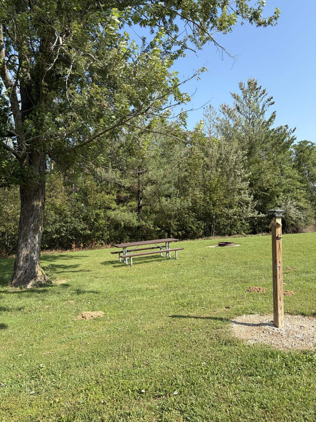 Primitive Campsite