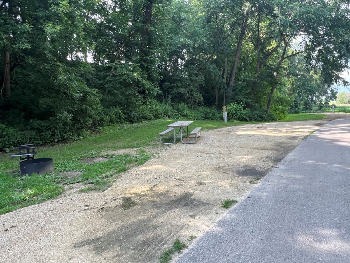 New Wine Park:  Campsite 16