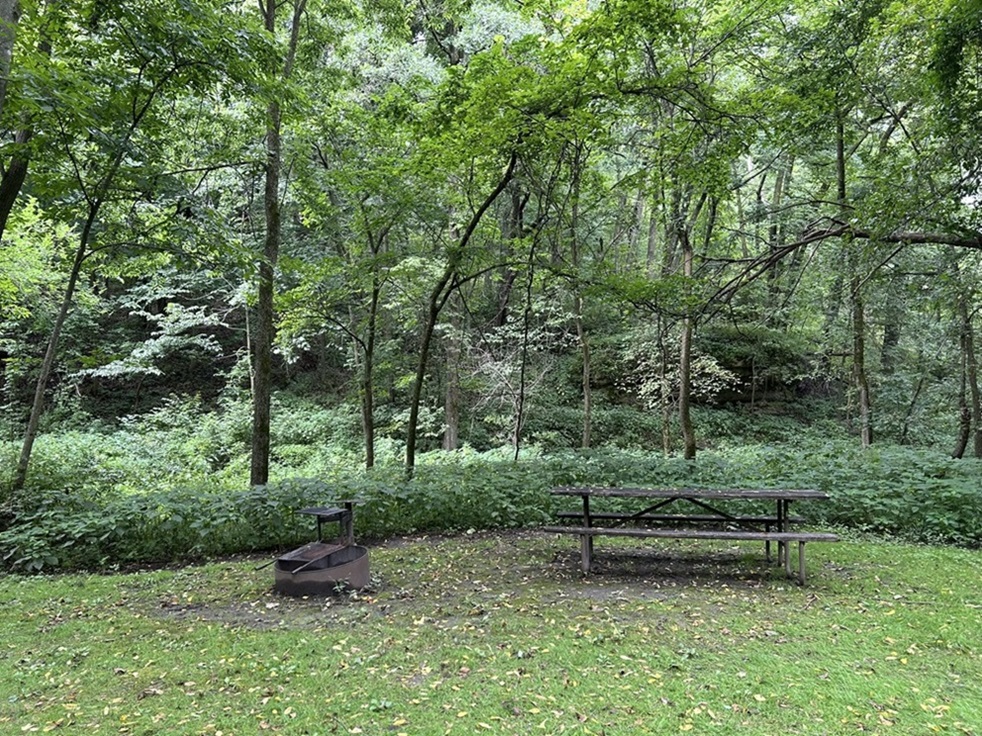 Eden Valley Pack-in site #2