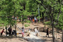 Wickiup Wandering Woods Club