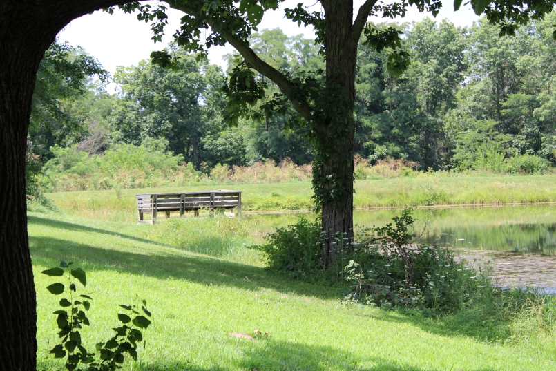 Fishing Dock at pond