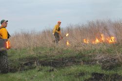 OWLS Program "Prescribed Burns"