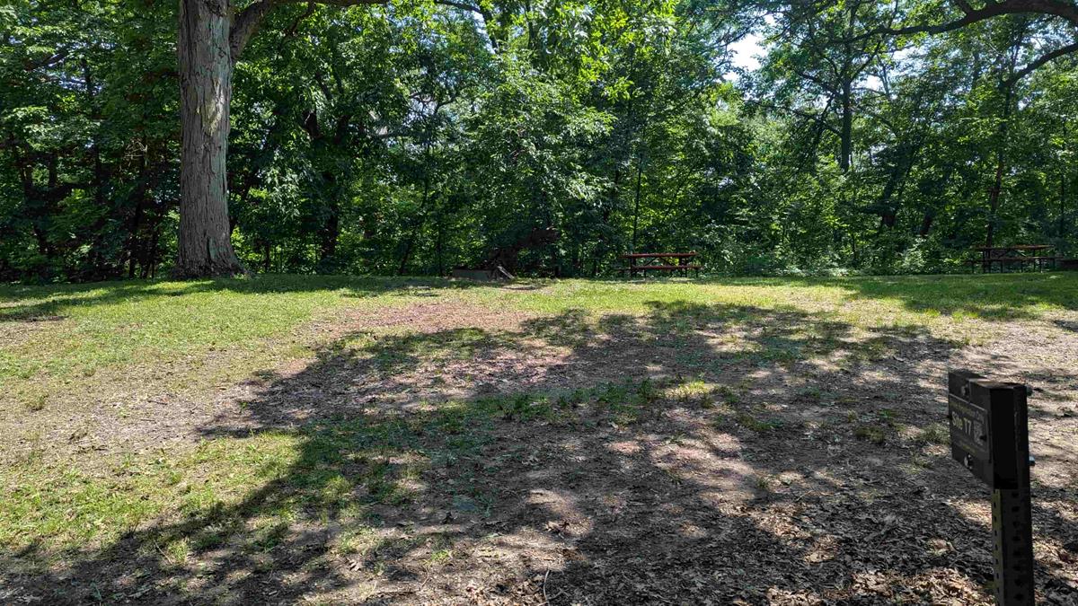 Swede Point Park Tent Site 7